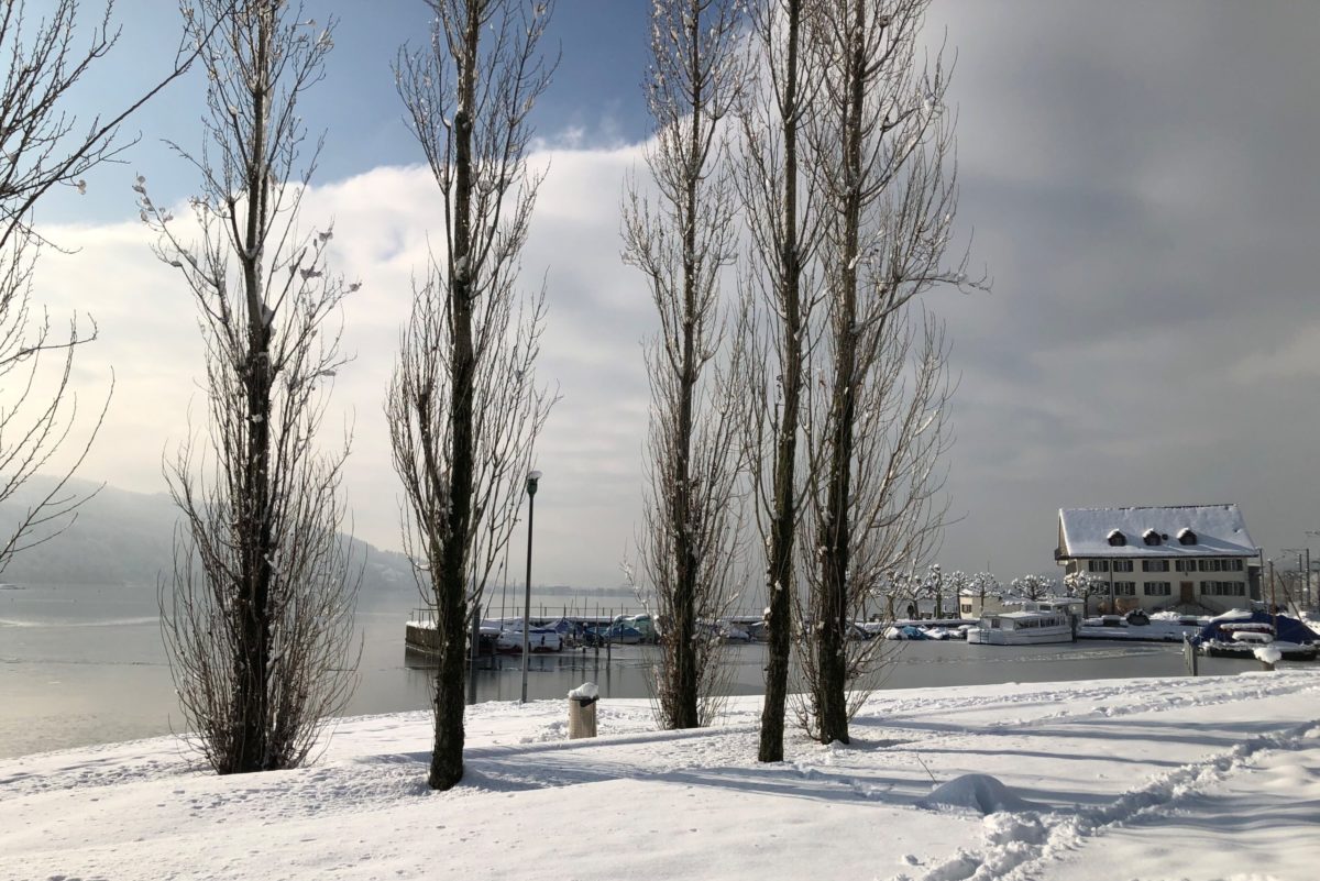 Urnenabstimmung Bürgerversammlung